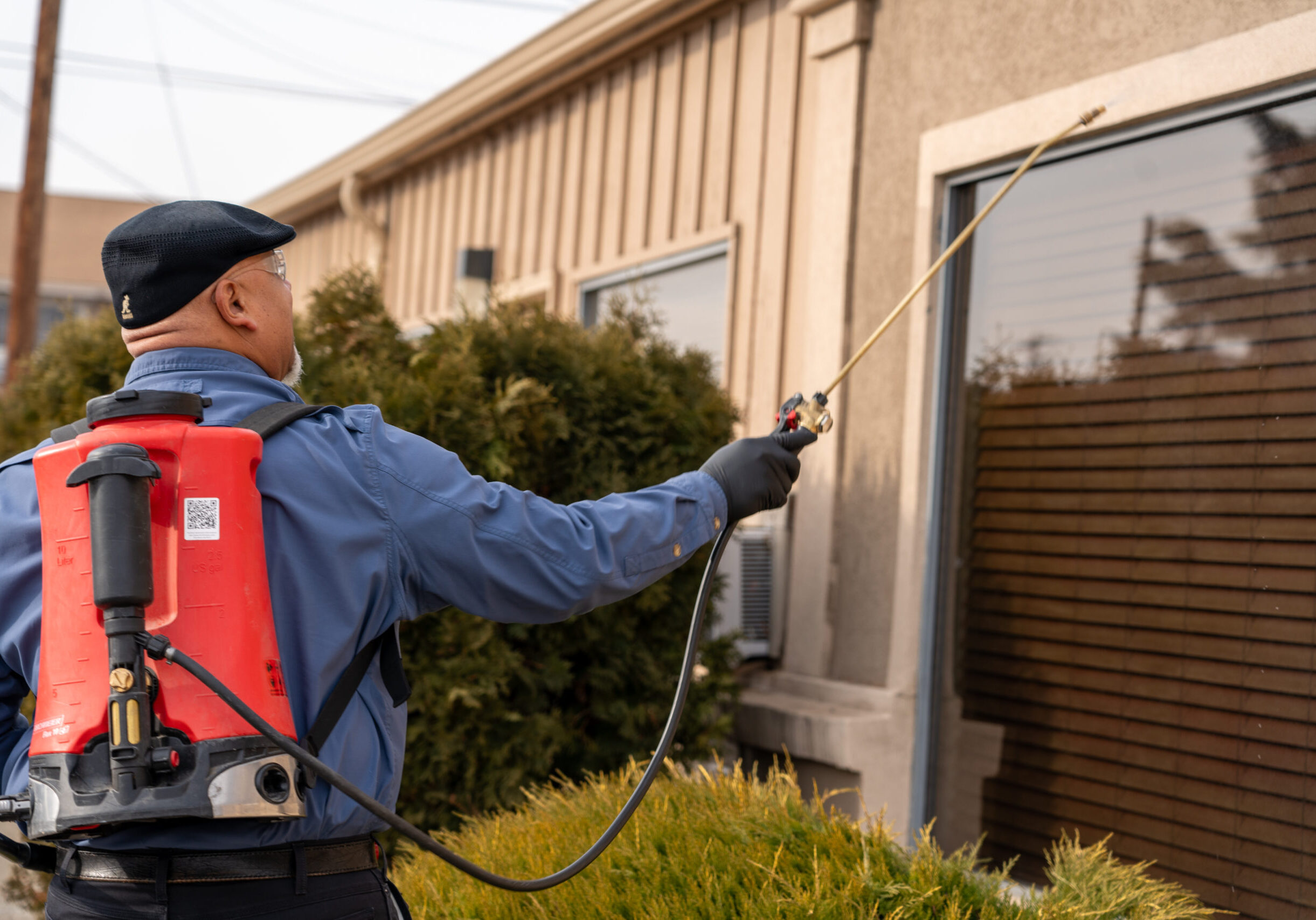 مكافحة حشرات